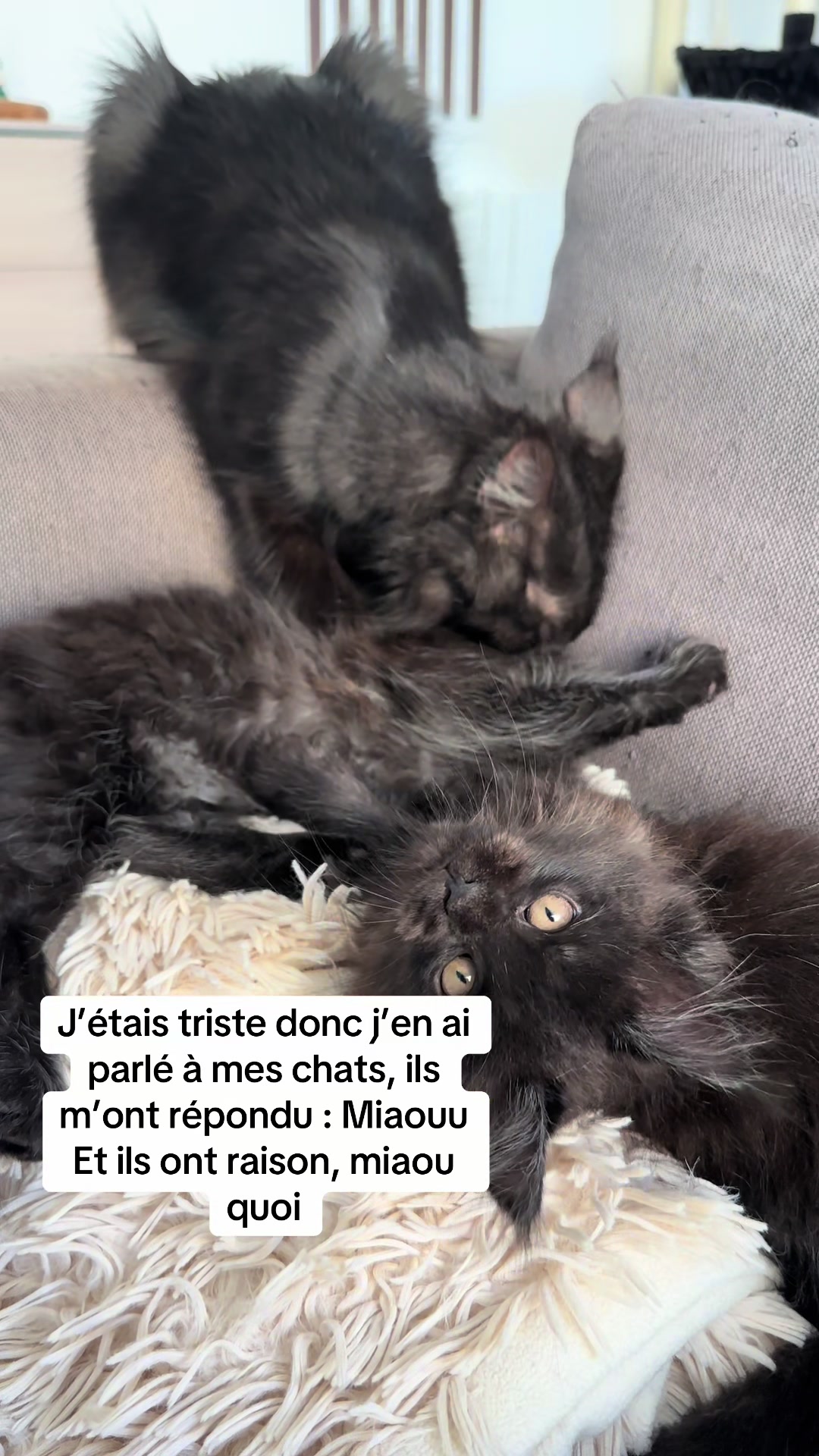 @•Emmanuelle. Éleveuse pro'•