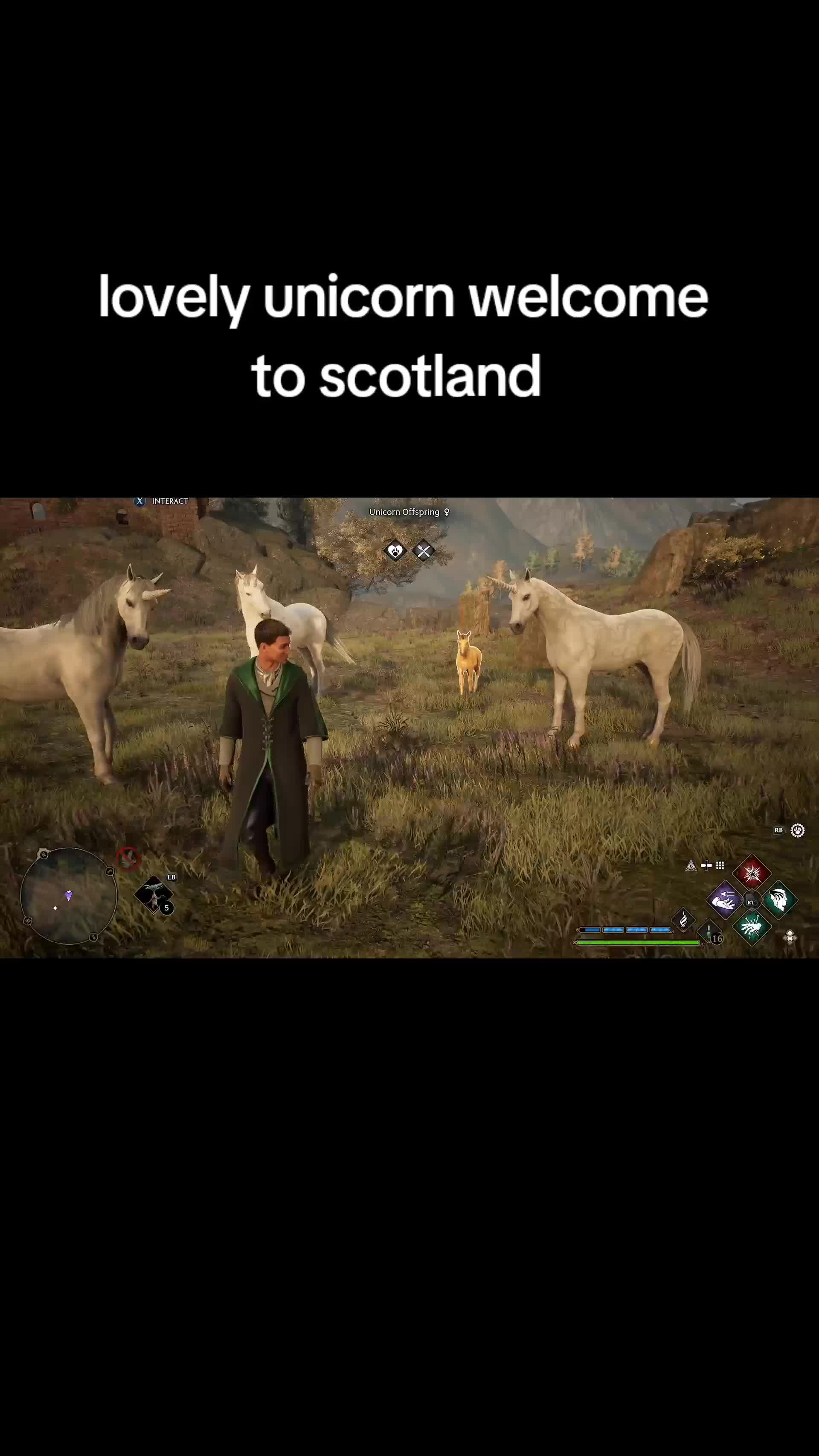 @random videos