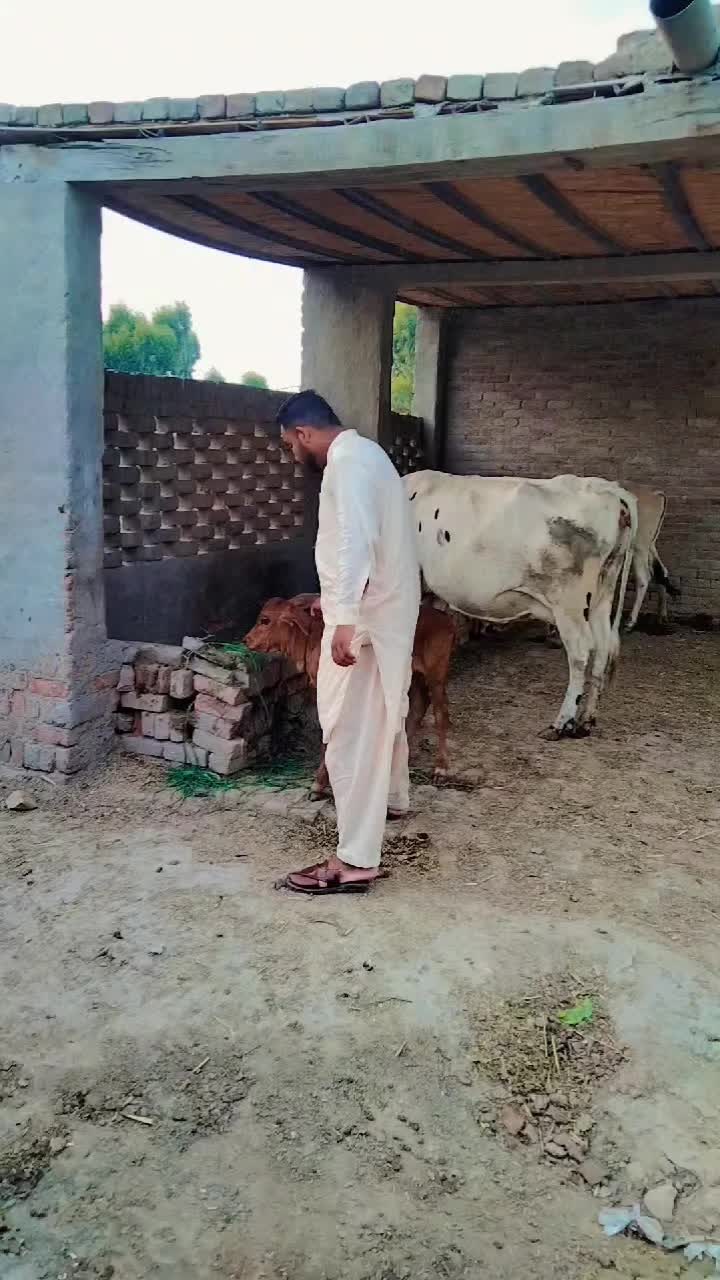 @Zubair Jampur