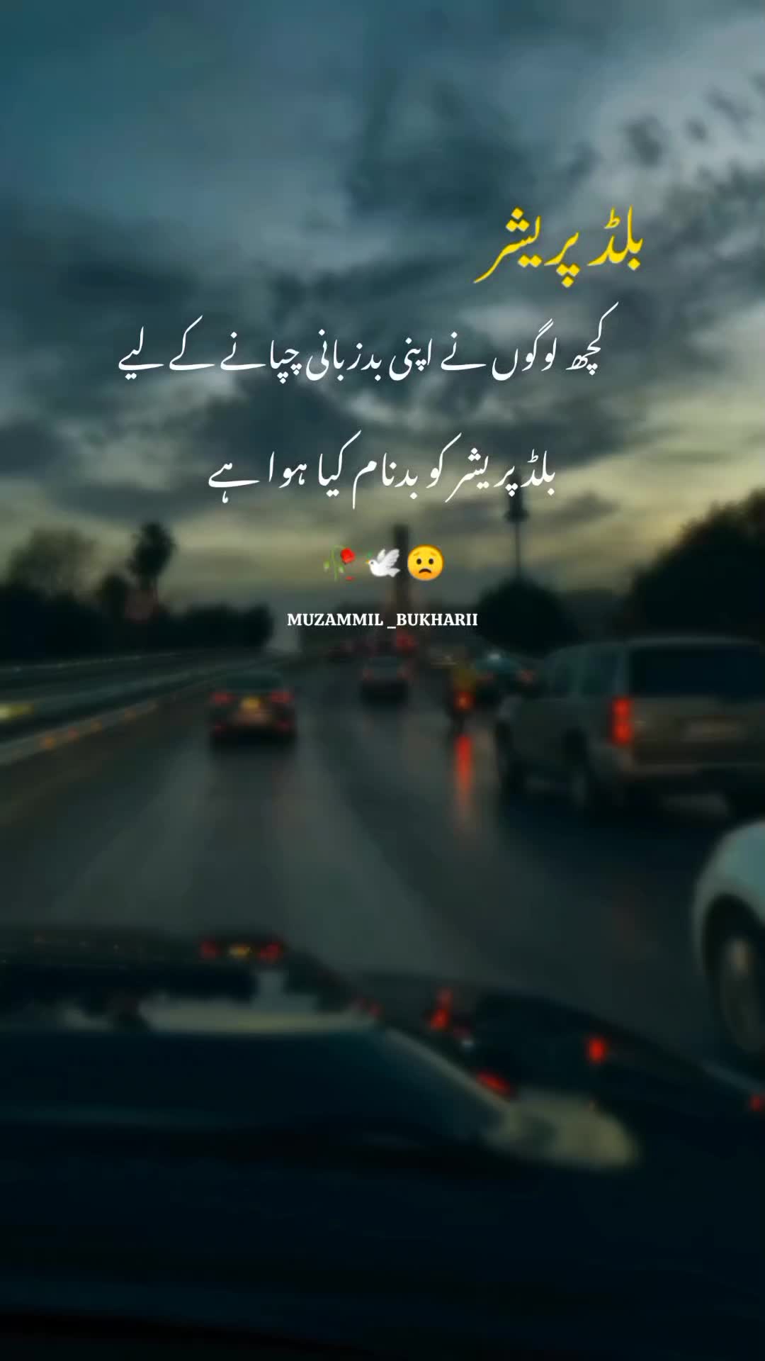 @𝙎𝙮𝙚𝙙 𝙈𝙪𝙯𝙖م𝙢𝙞𝙡 🤍