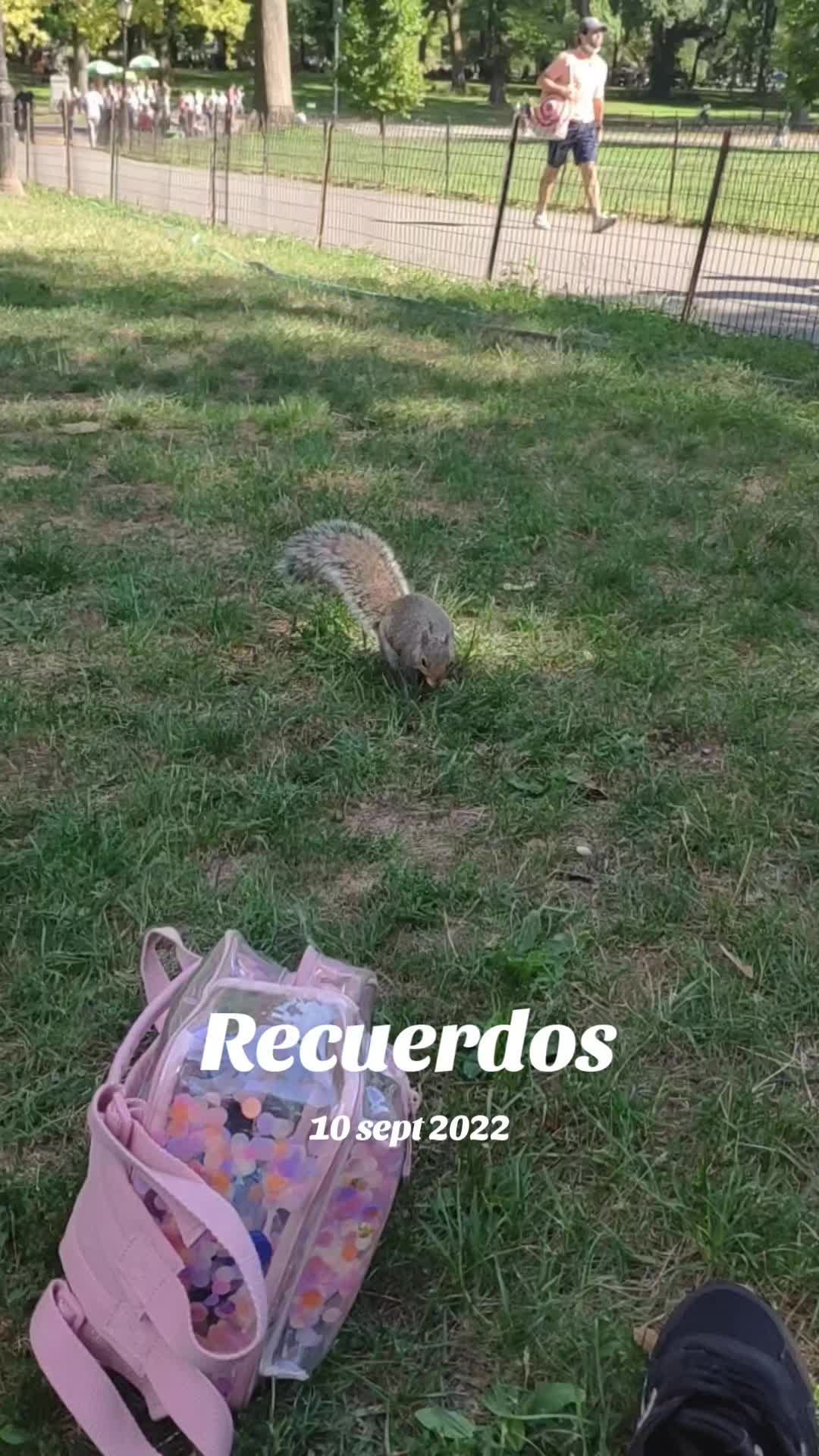 @Anita 🇳🇮 🇪🇸 🇺🇸🦋