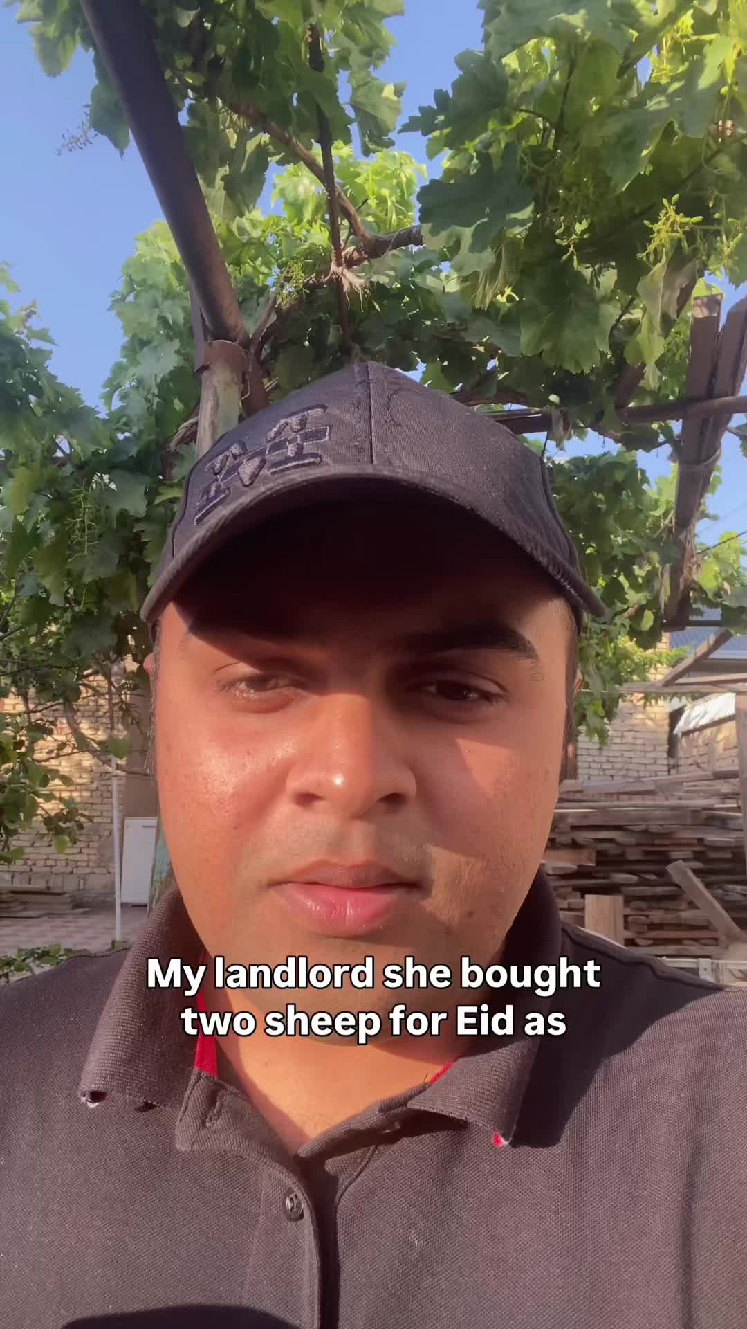 @ashhadkhnx
