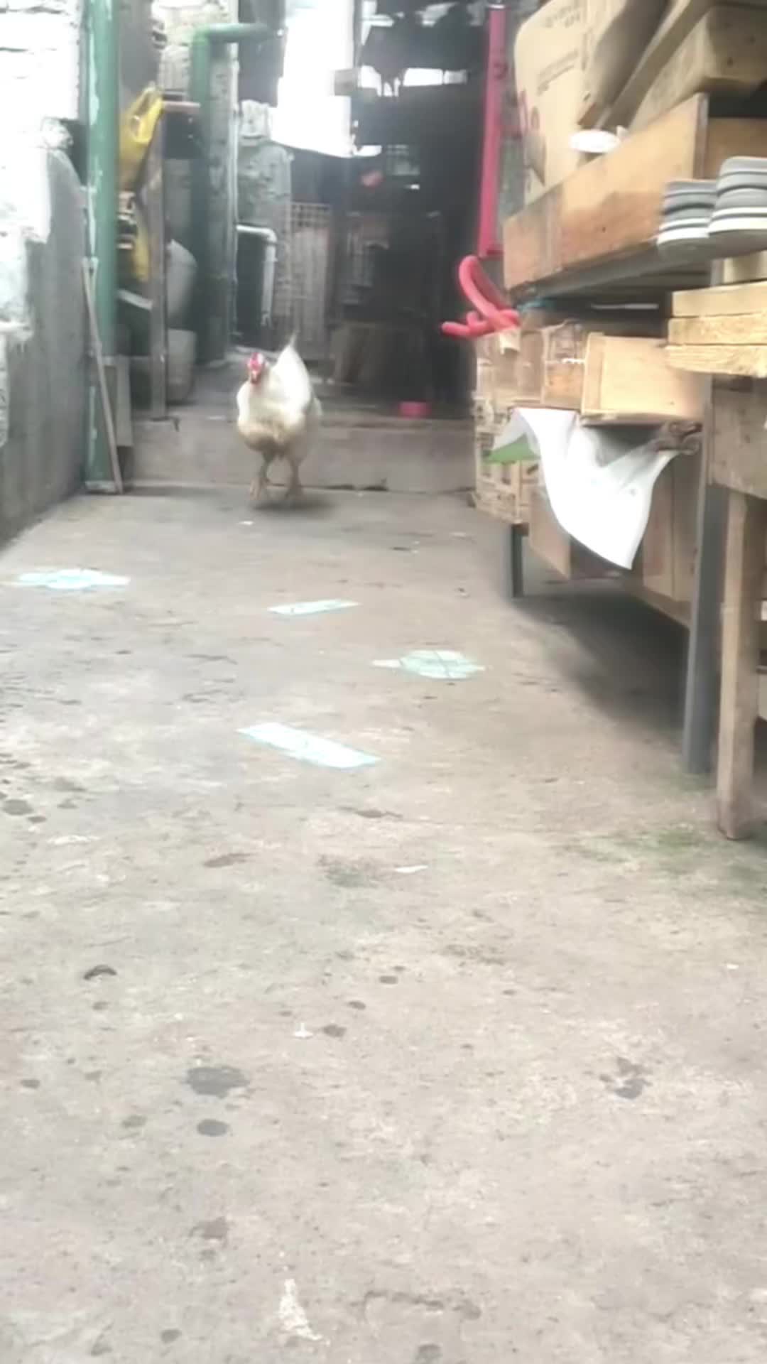 @°°°