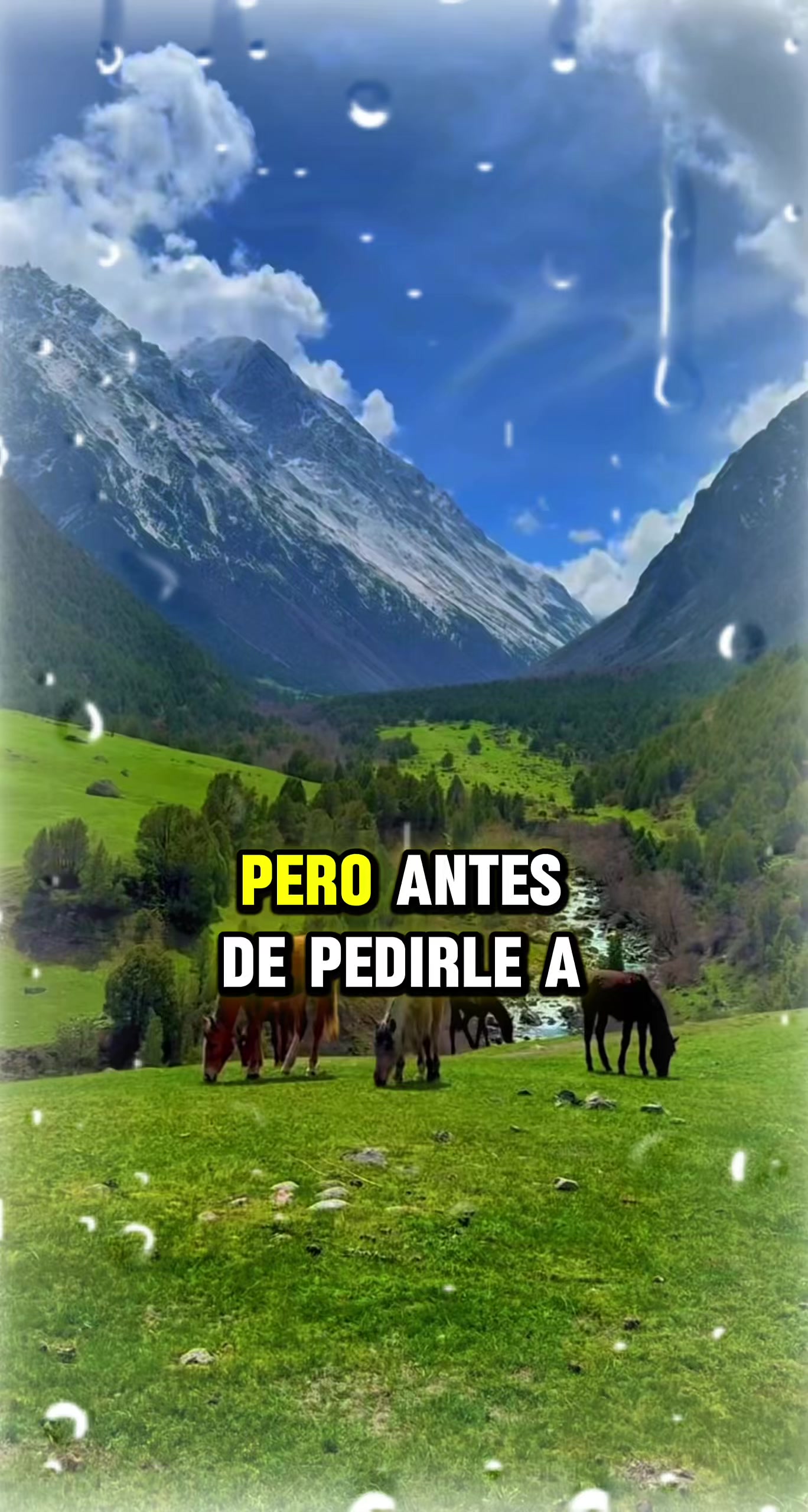 @Pedroj60malaga