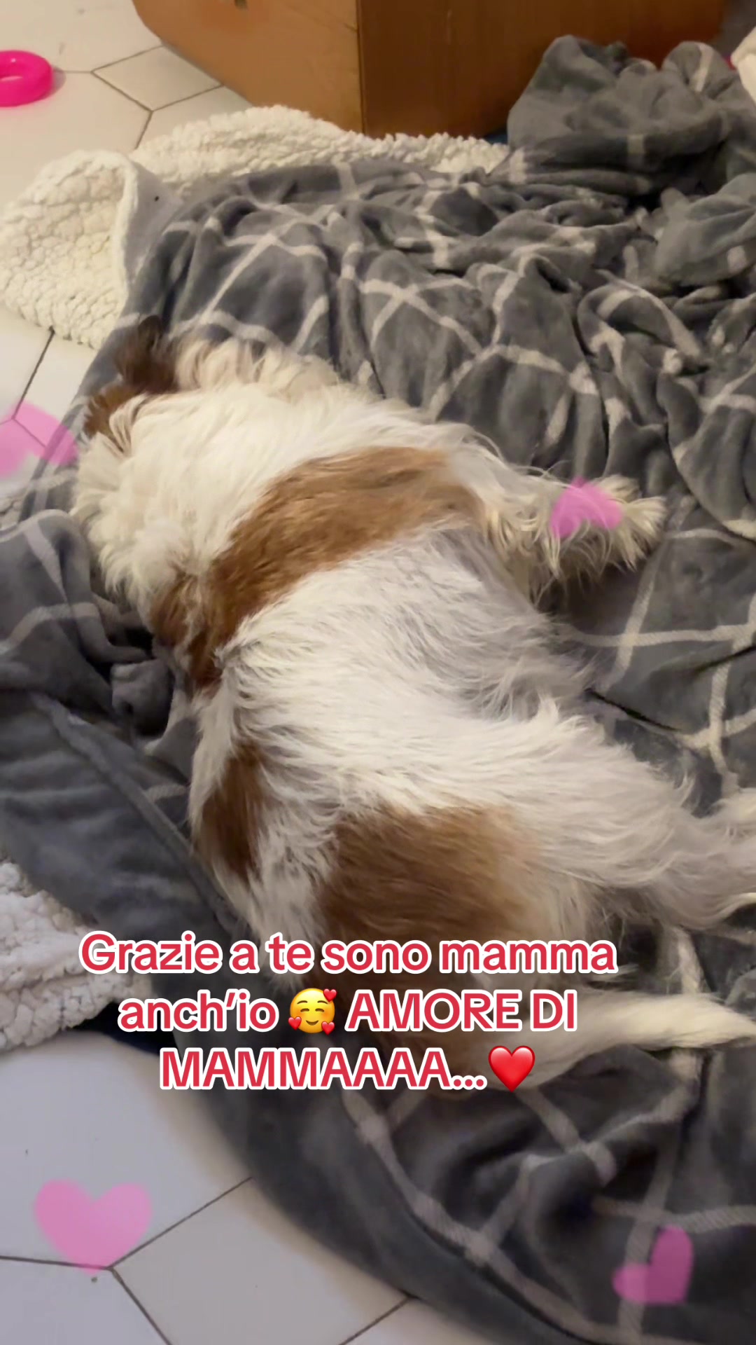 @francescaciardo