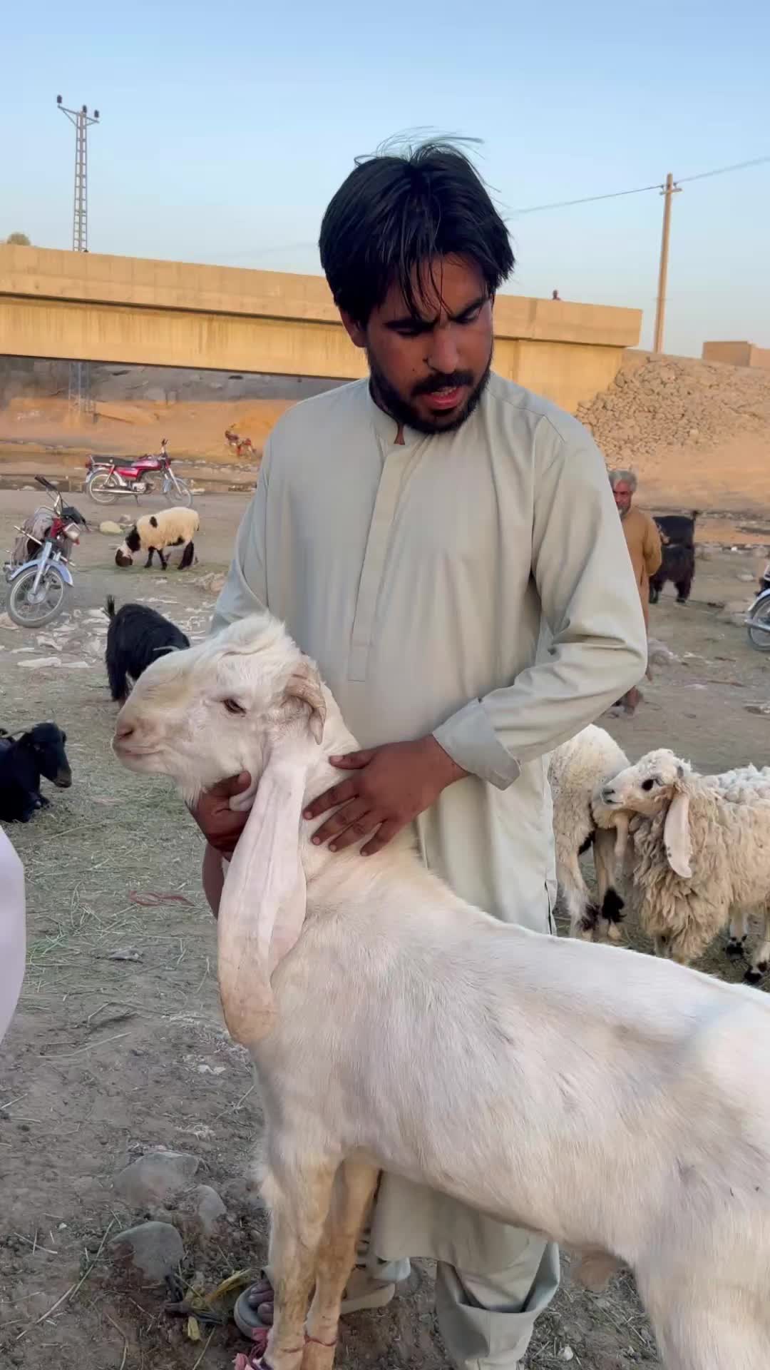 @Majid__Essa