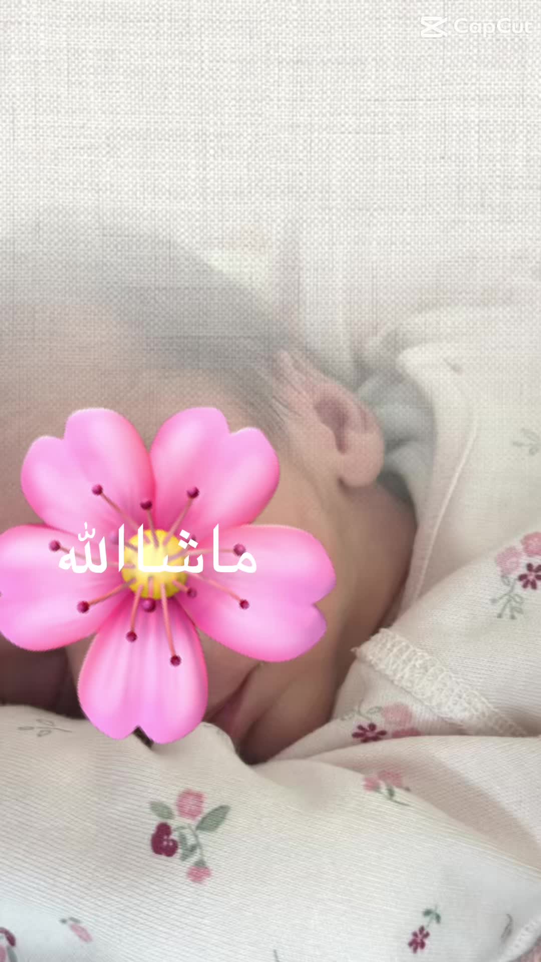 @✨✨✨ستاره سادات ✨✨✨