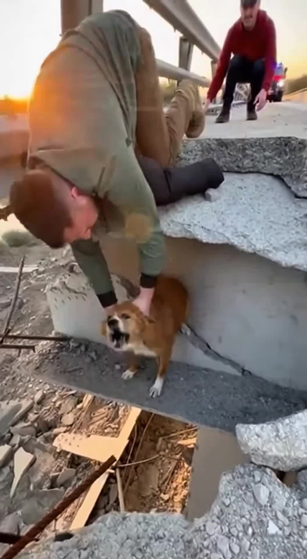 @animalslife2026
