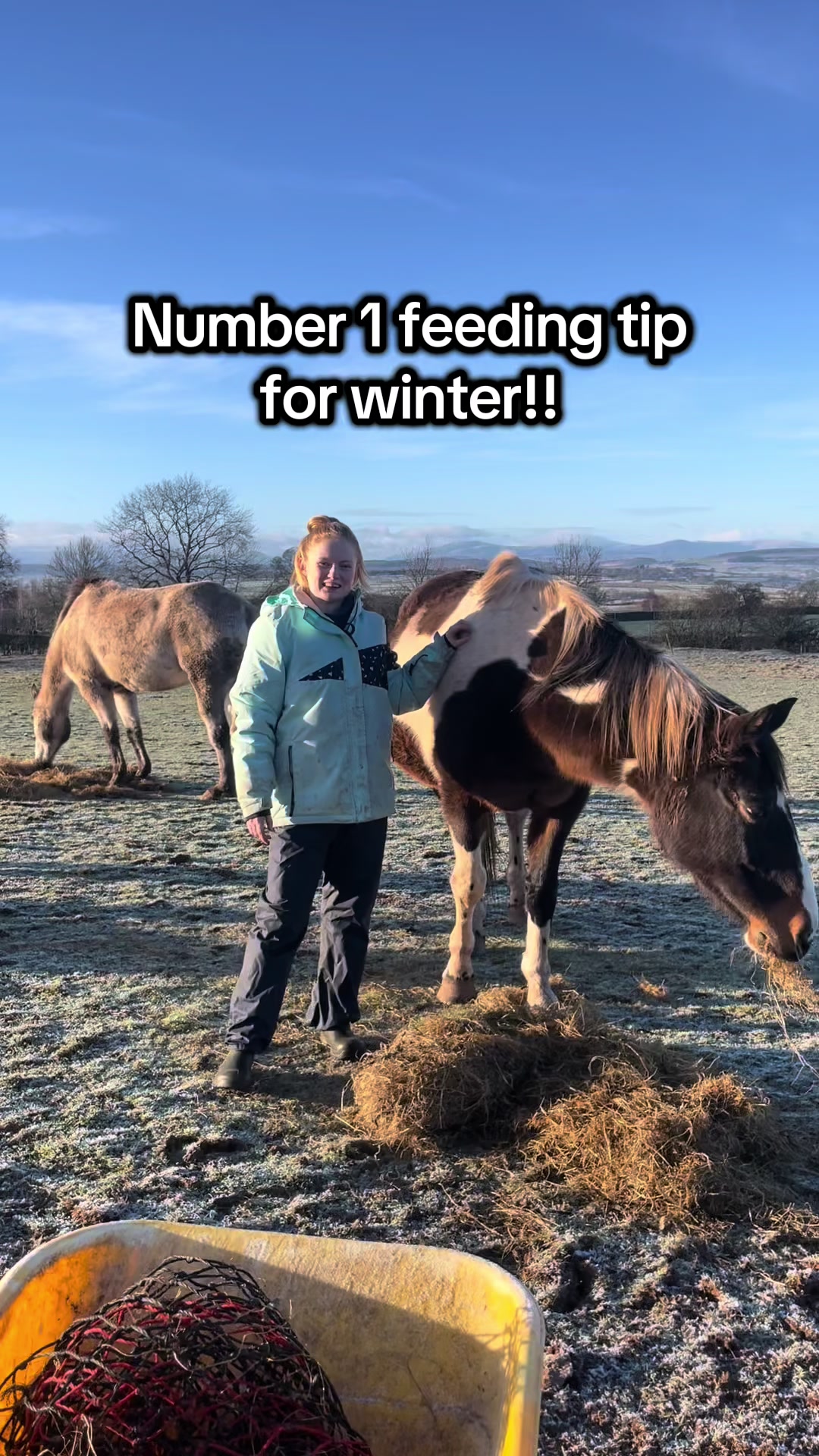 @Equine Nutrition With April