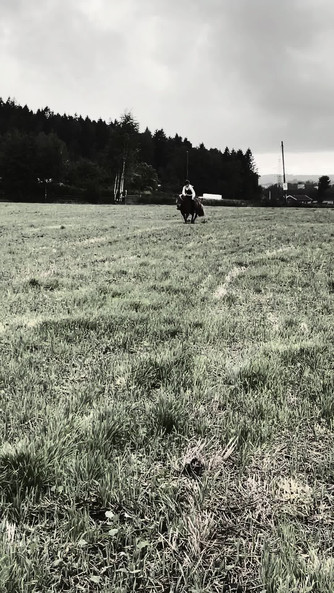 @𝒜𝓂𝒶𝓁𝒾𝒶💘