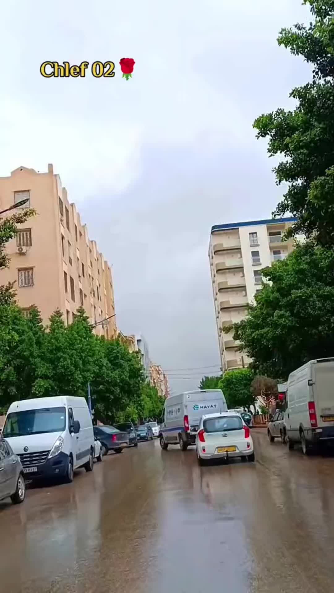 @🇩🇿Chalfawi02🇵🇸75🇫🇷