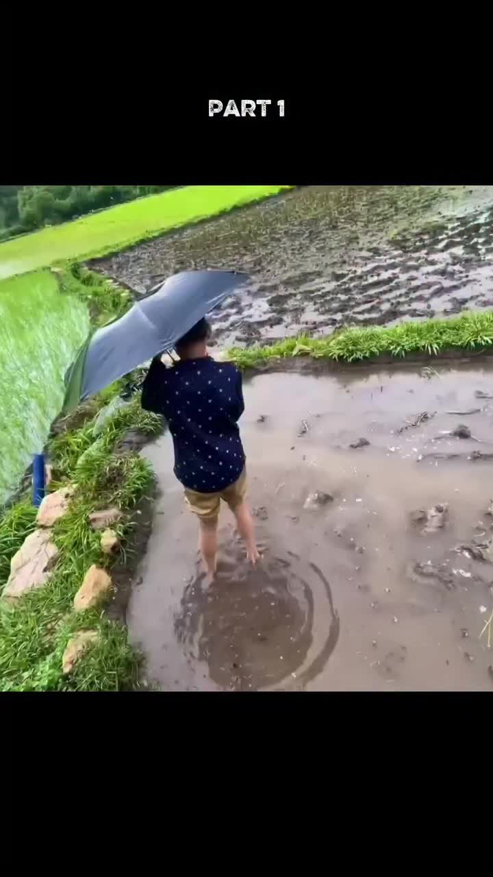 @DailyVlogs