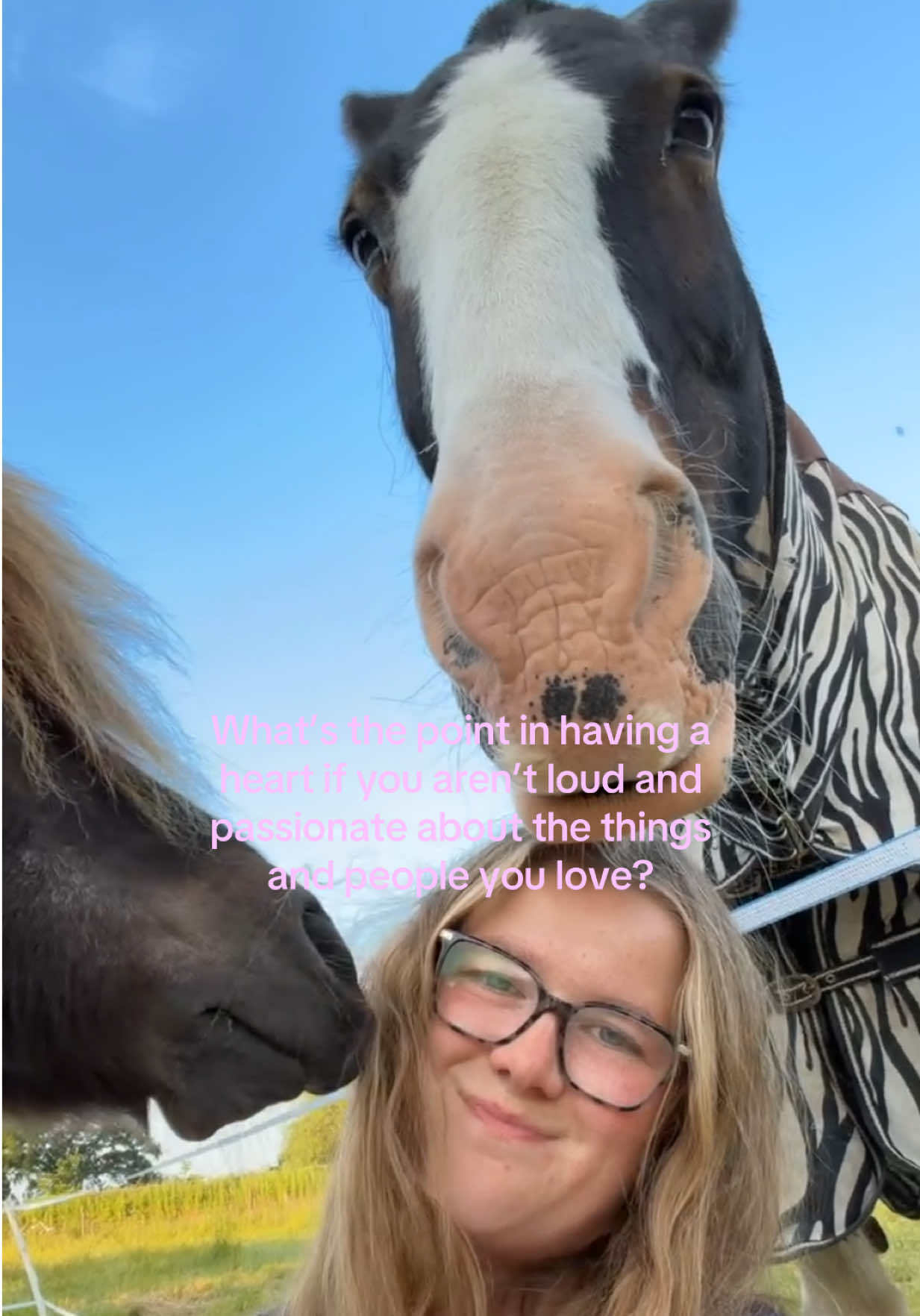 @Ernie 🐴