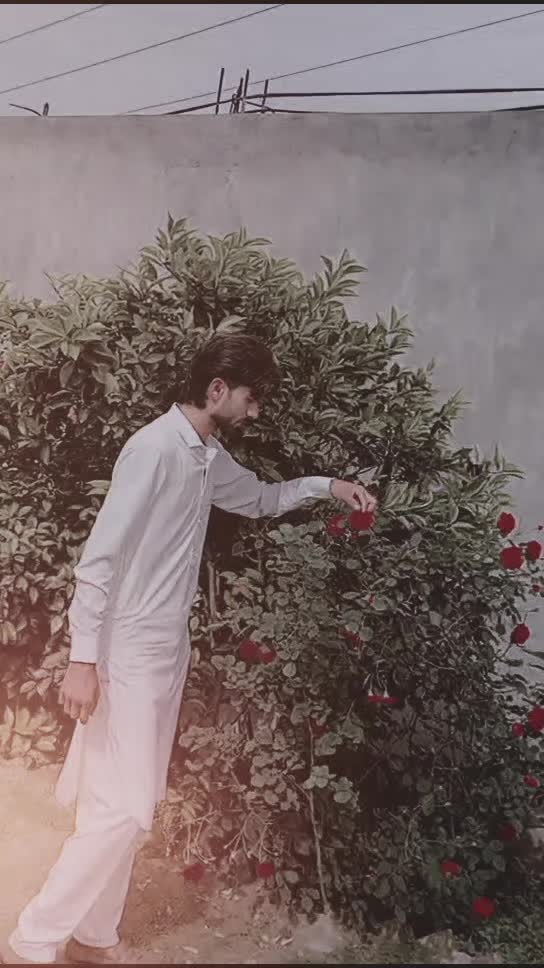 @Haider ali