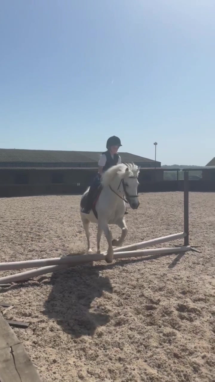 @LottiesHorseAdventures🦄🐴