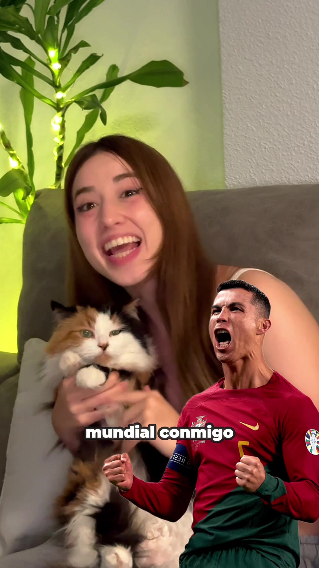 @Mireii 🦊