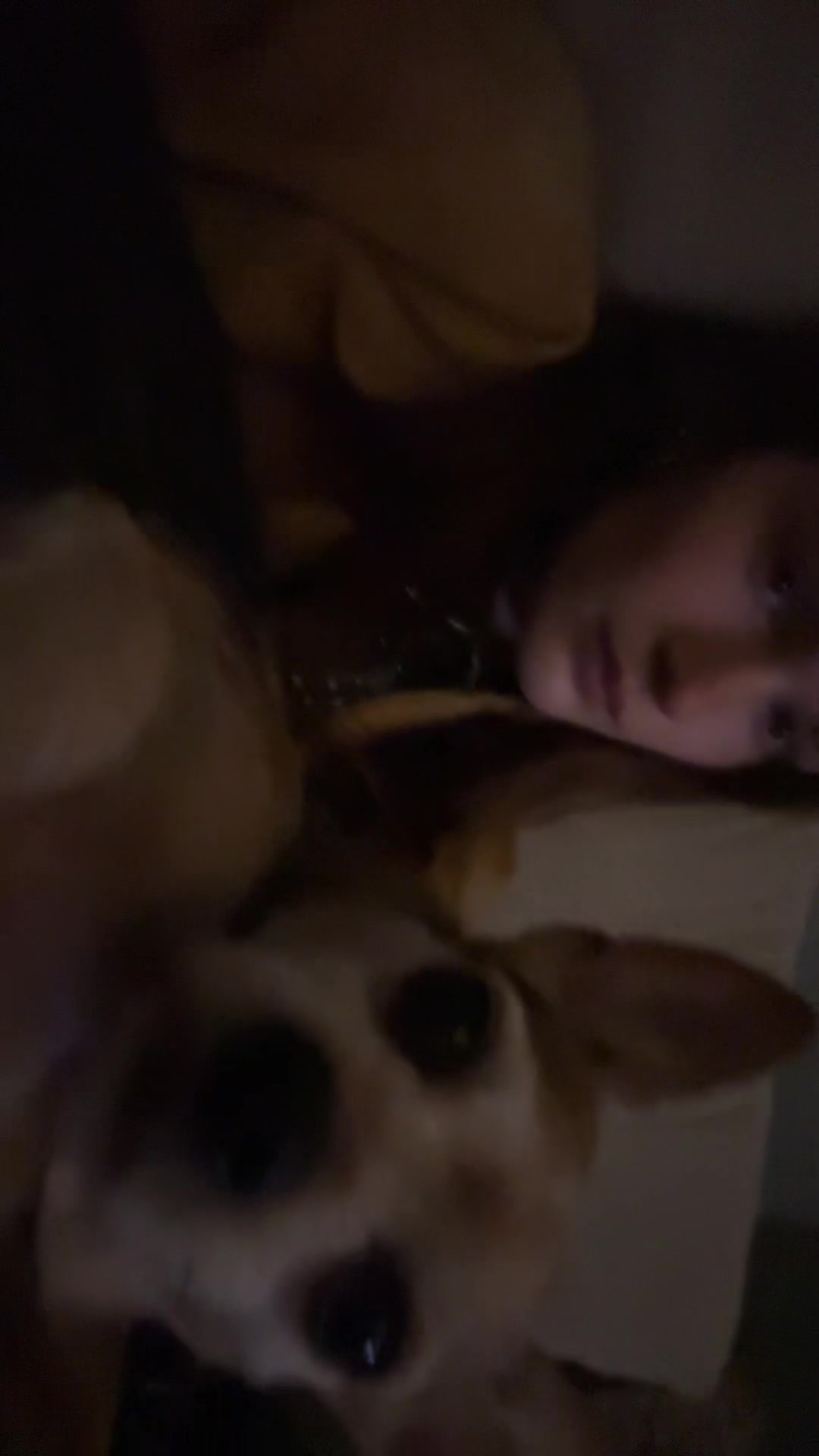 @lillygoumentt