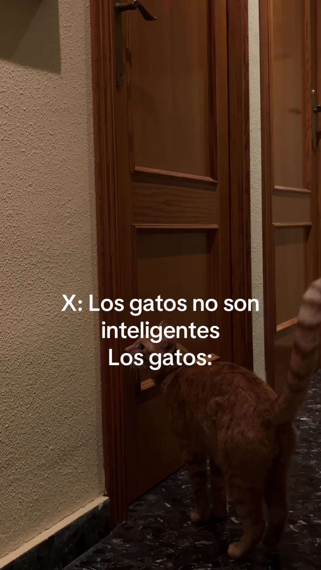 @Nerea Garcia