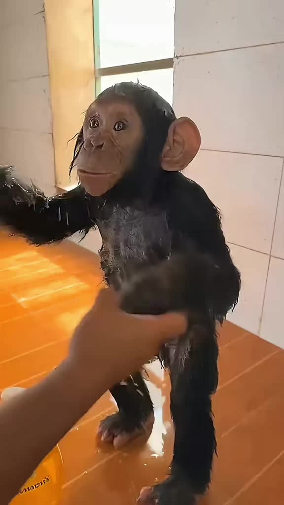 @benjamin