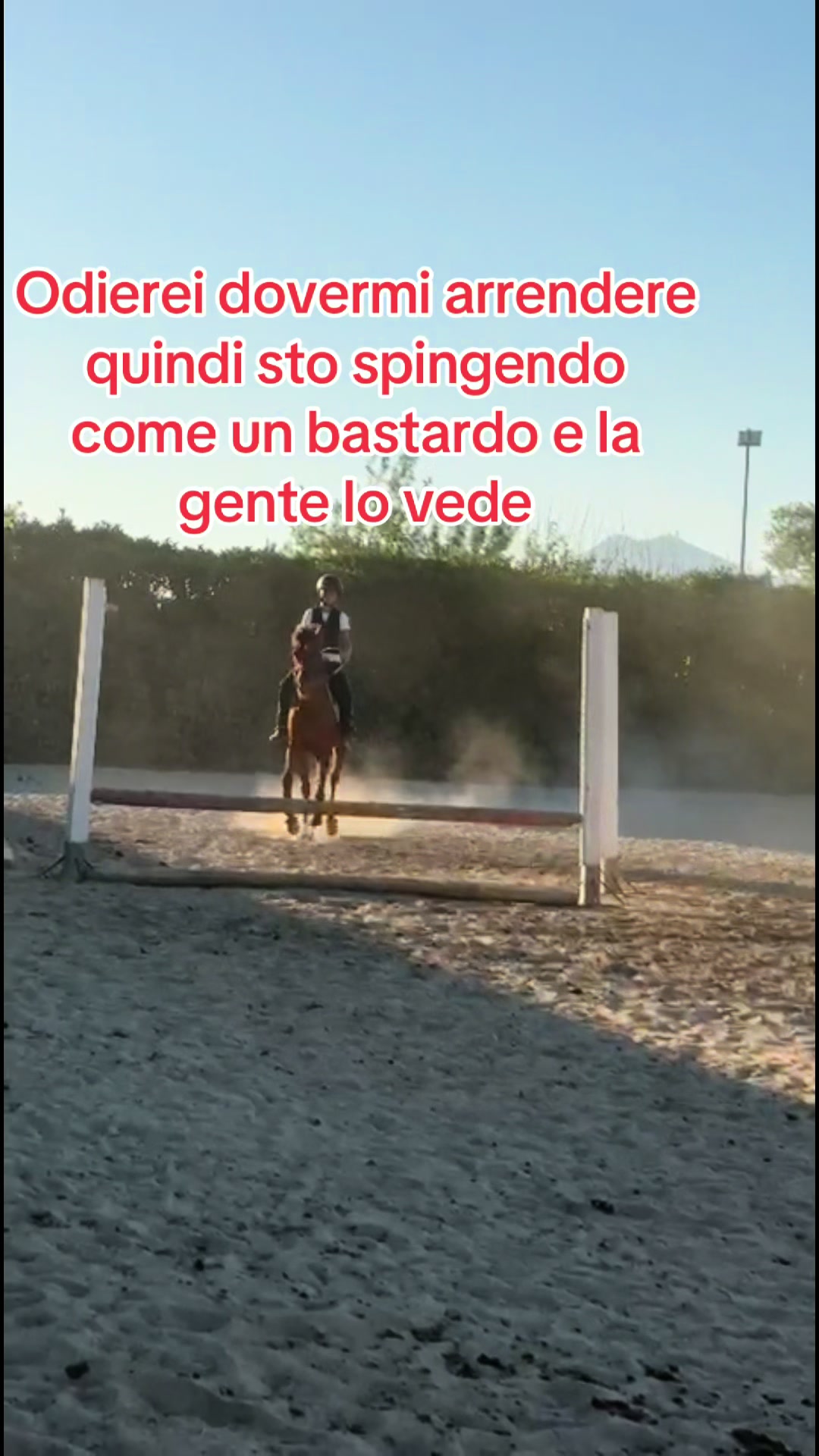 @Greta🤎