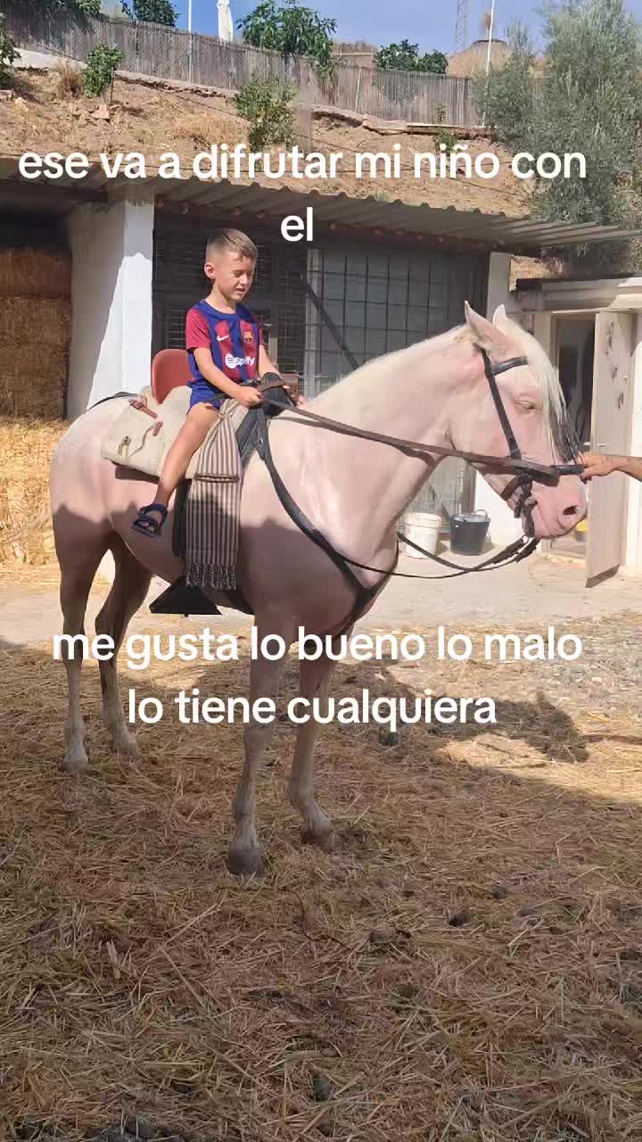 @Fernando Cristales A