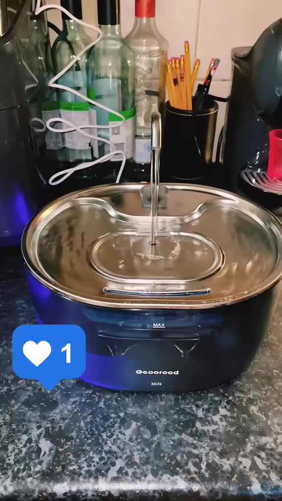 @Awesomepawsome2017