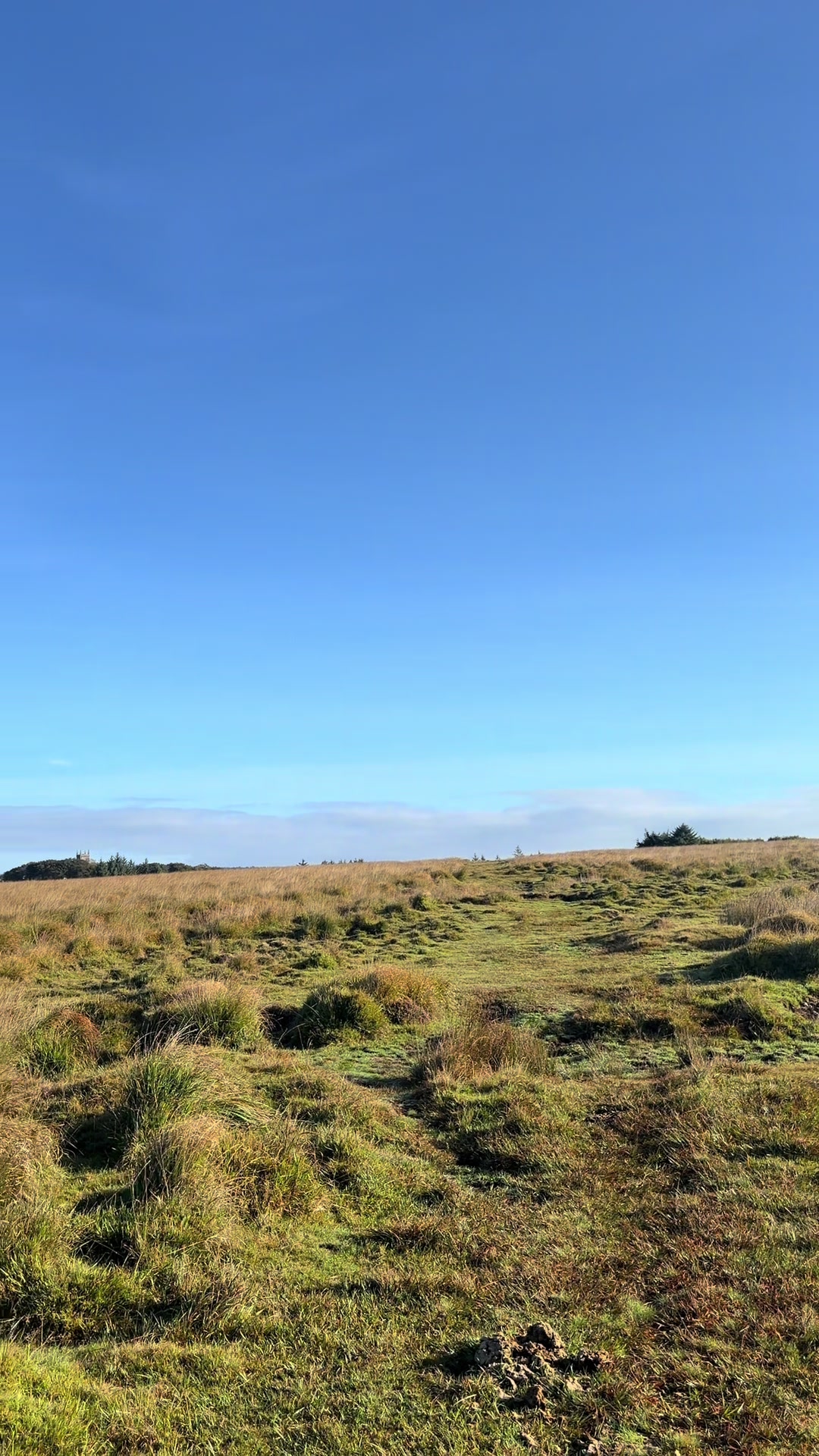 @Dartmoor Carriages