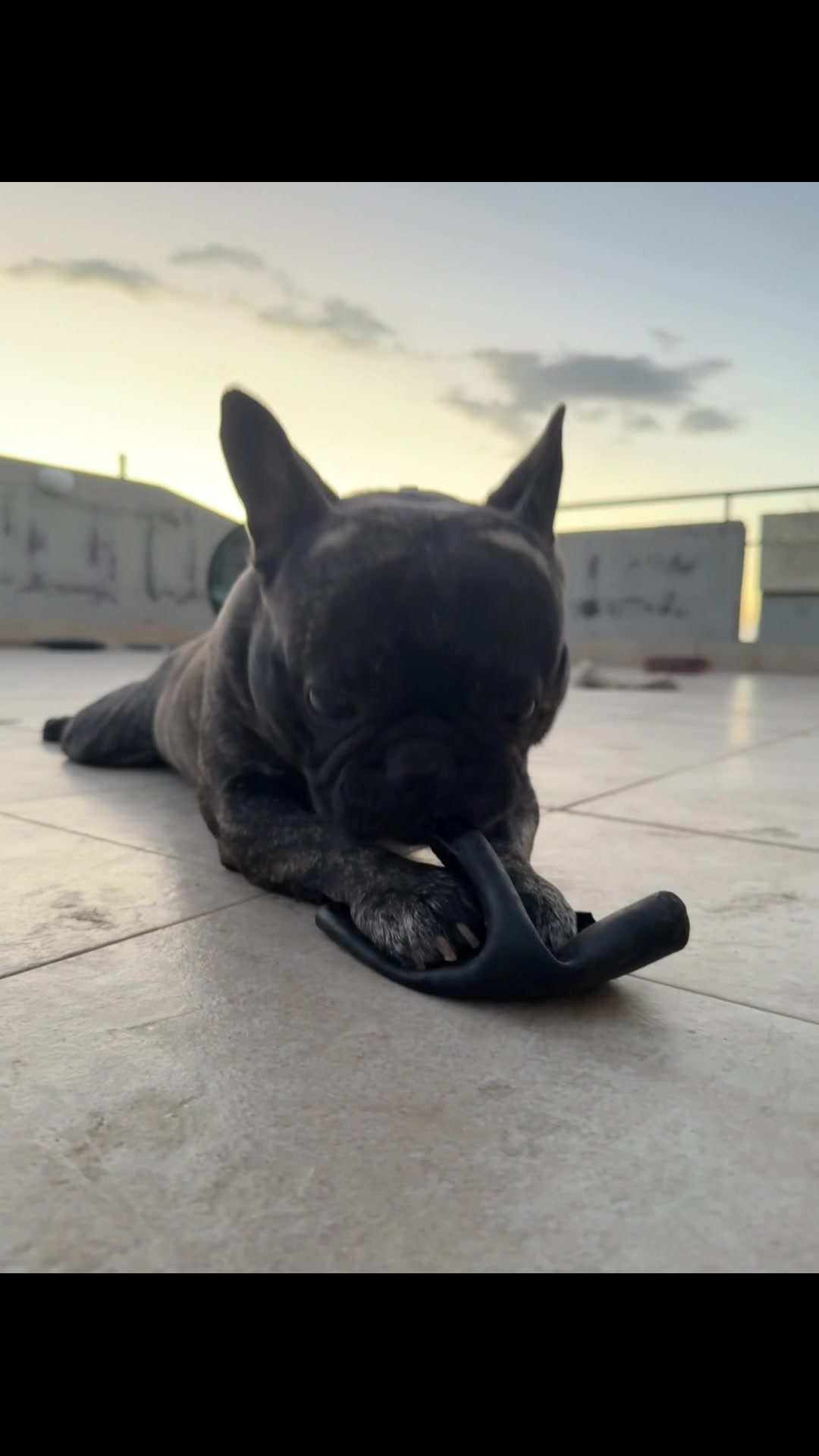@𝓜artina 𝓜elita