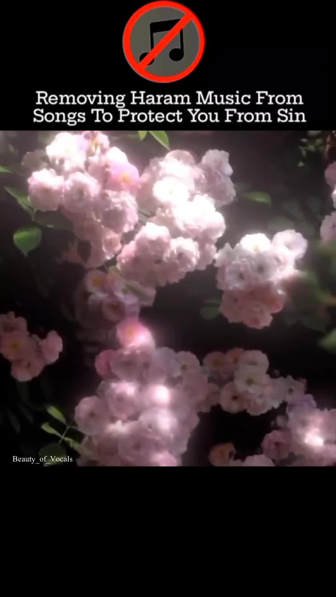 @𝐁𝐞𝐚𝐮𝐭𝐲_𝐨𝐟_𝐕𝐨𝐜𝐚𝐥𝐬