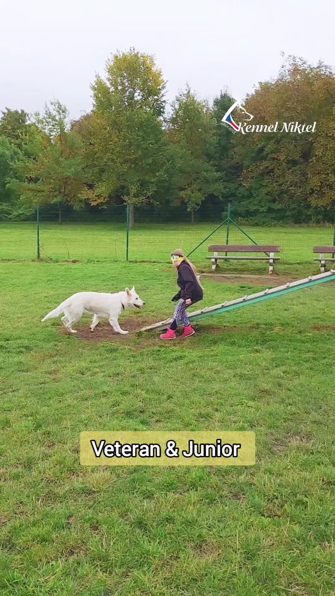 @Kennel Niktel