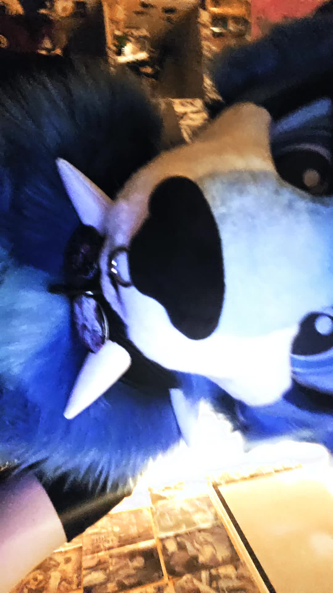 @next con: Zürich PopCon