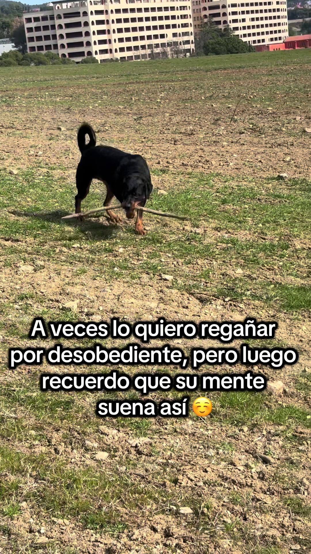 @Anubis y compañía