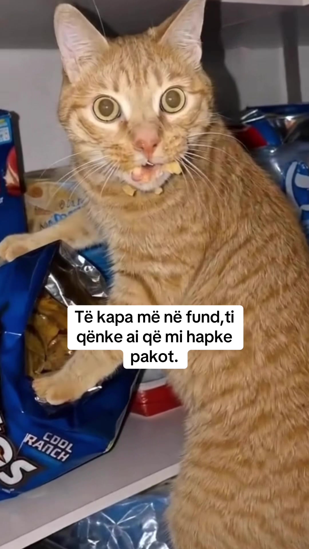 @Vdes per këto te dyja😻😻