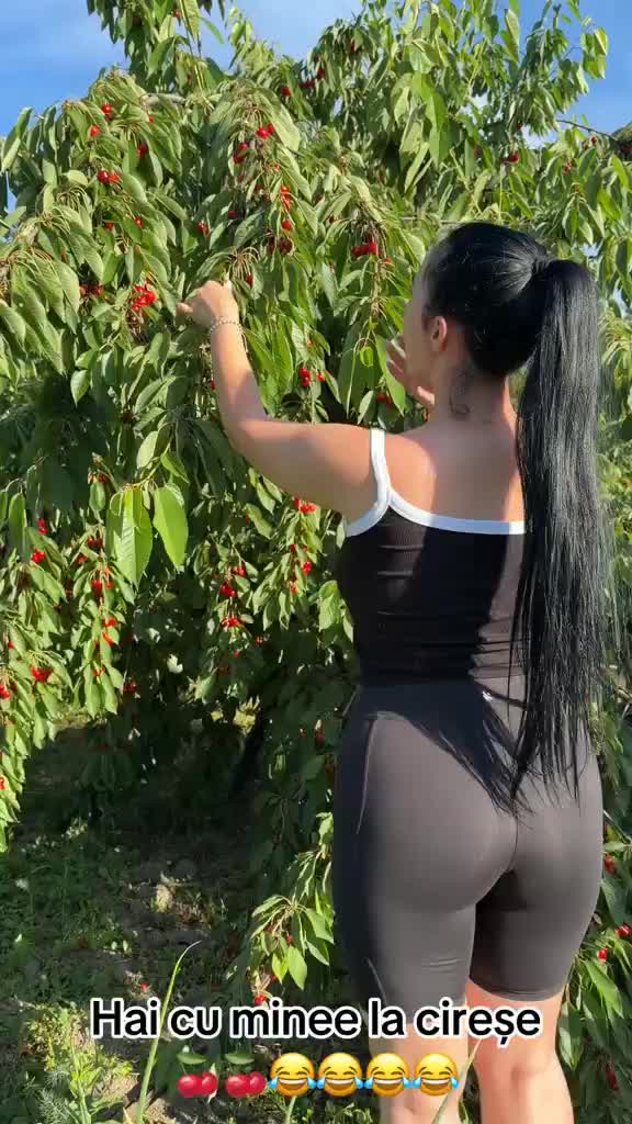 @toppy.top
