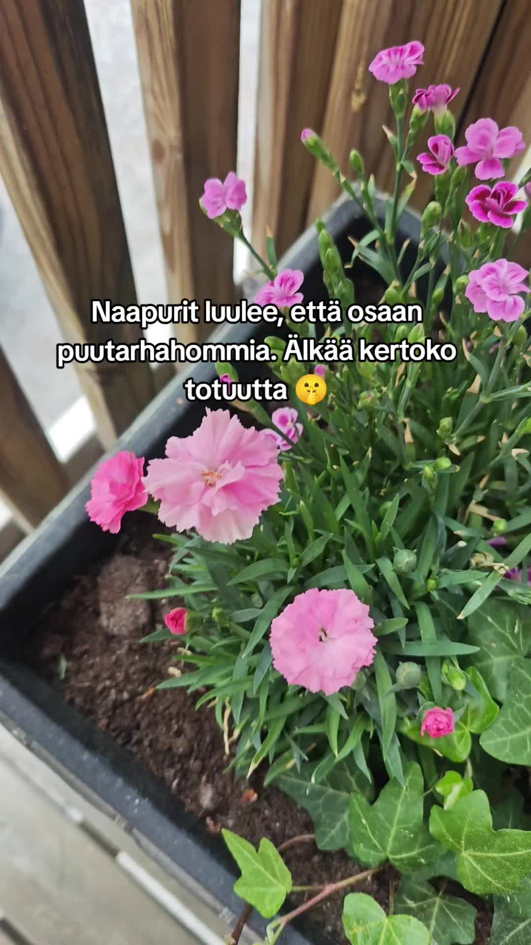 @Veera