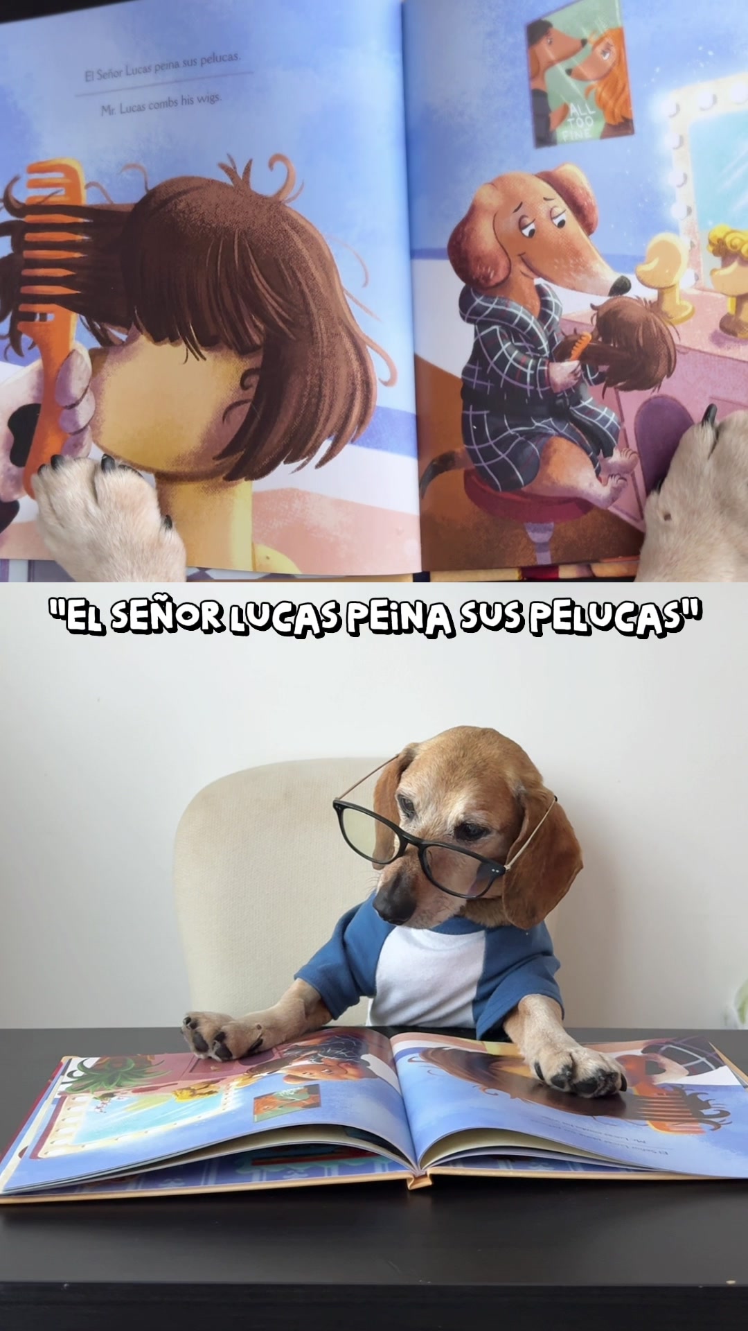 @Lucas The Dog