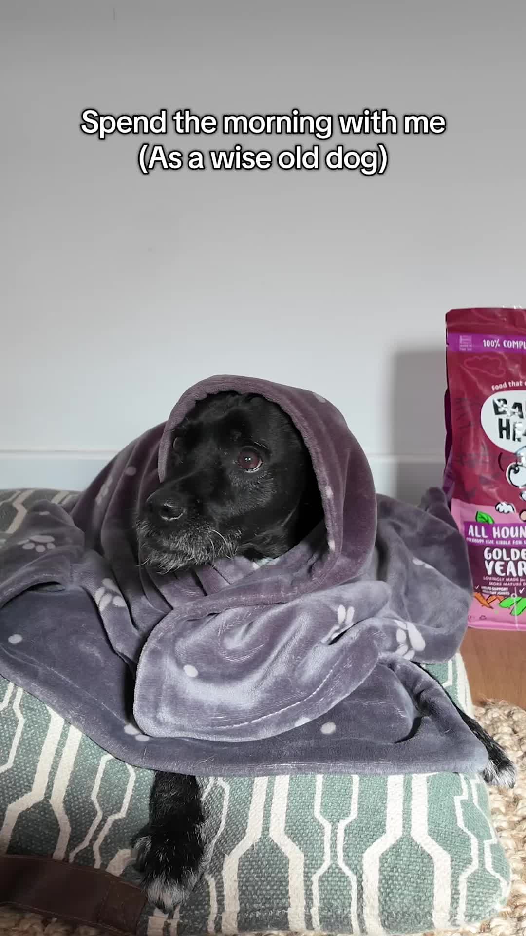 @Barking Heads Dog Food