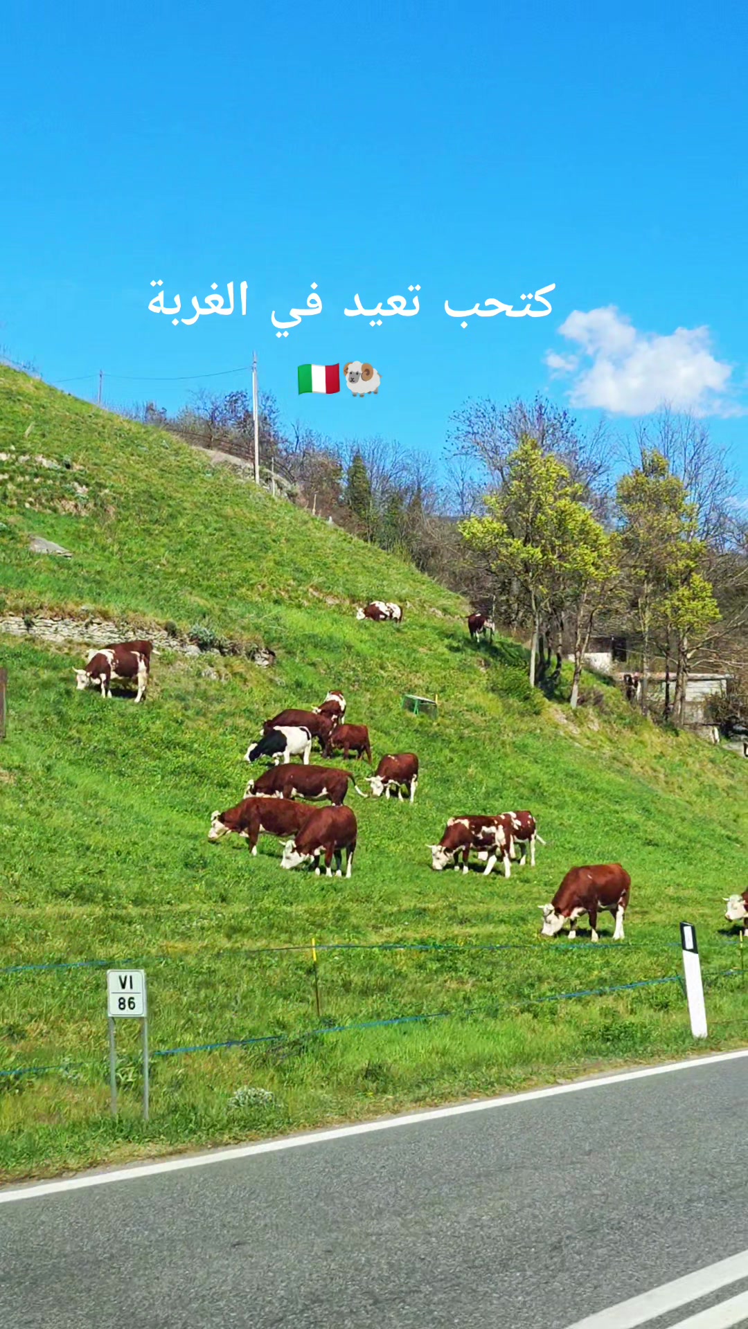@رايلا