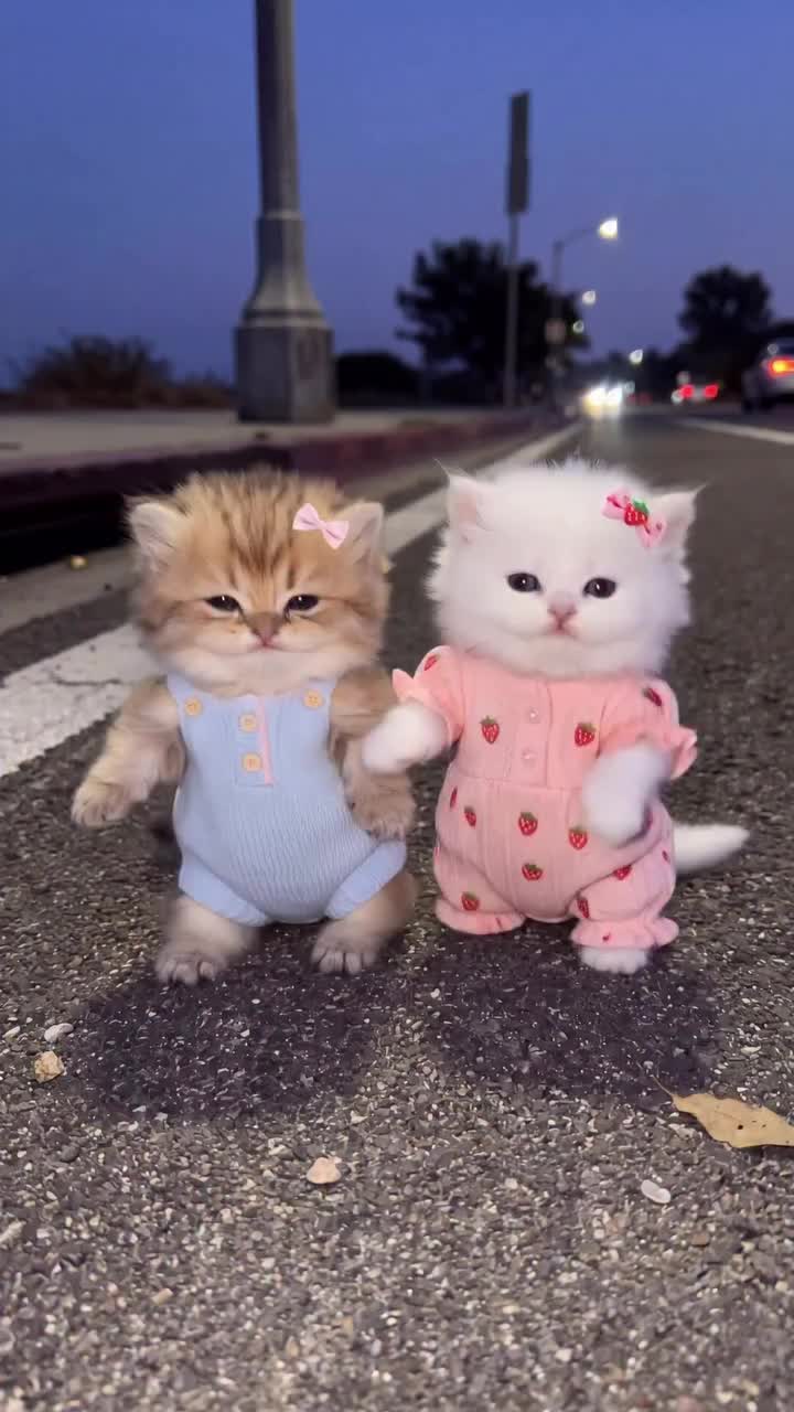 @onlinehealing