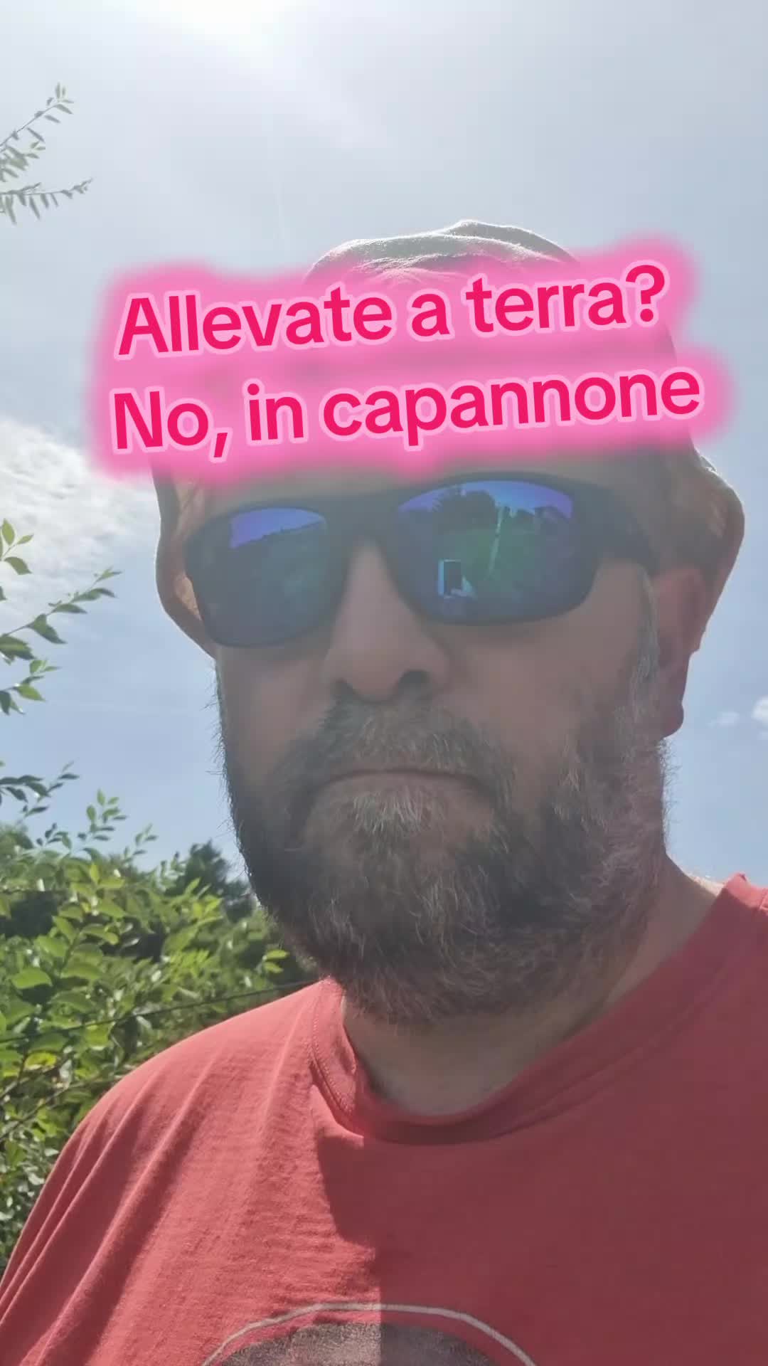 @Il leone e la gallina