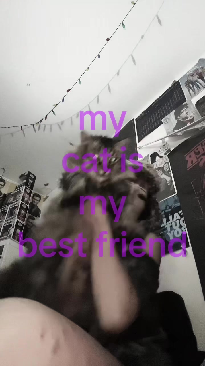 @🦄nina🦄