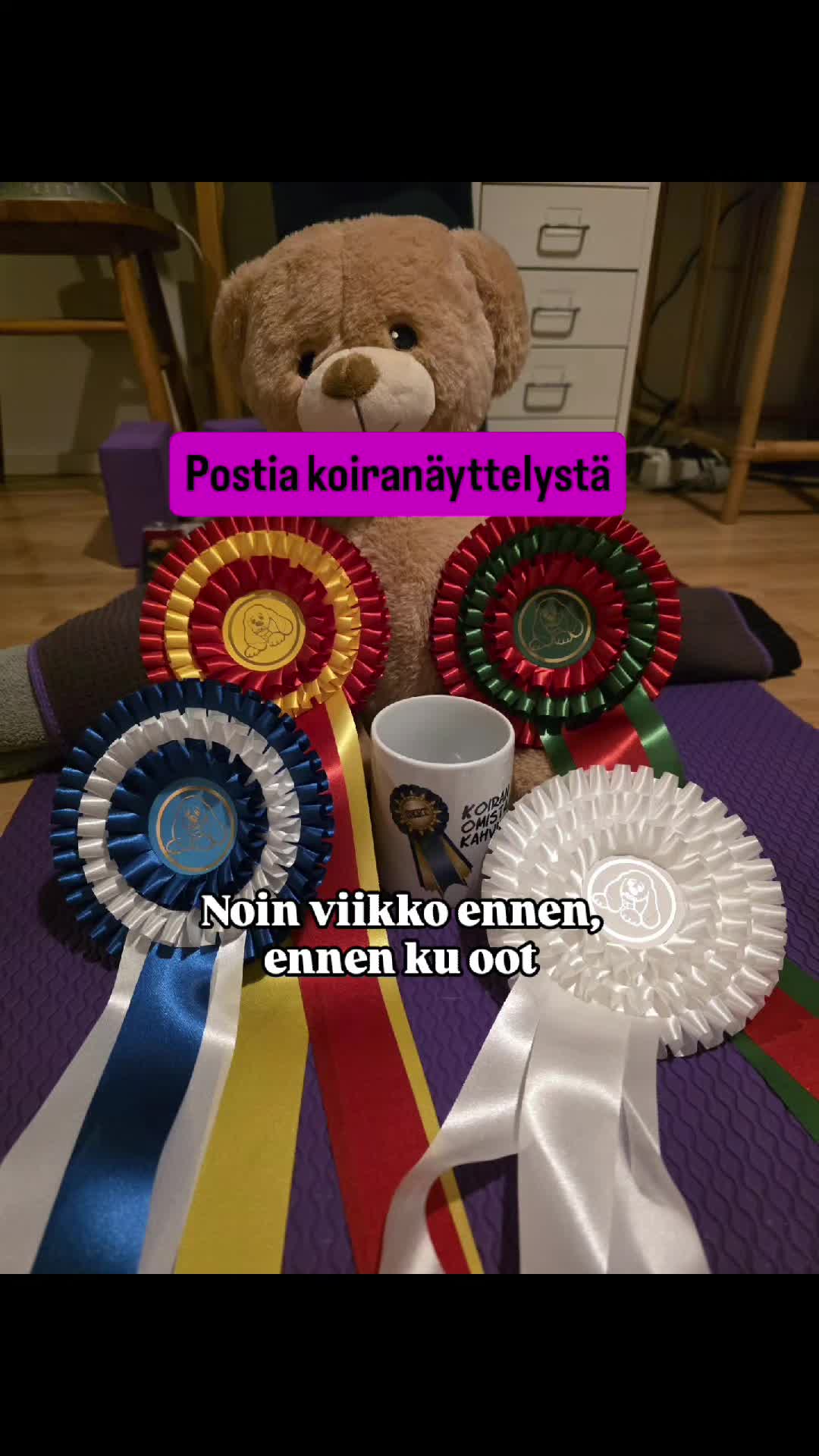 @Erja