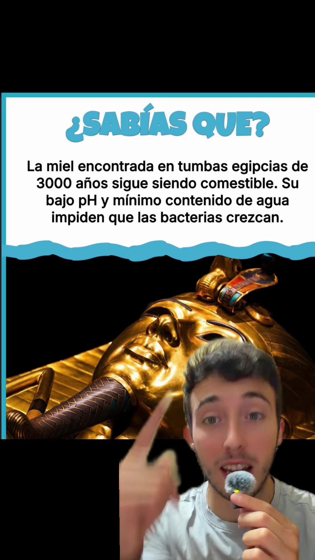 @ivanttops