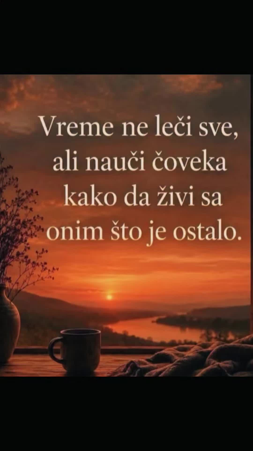 @💙Sonja💙