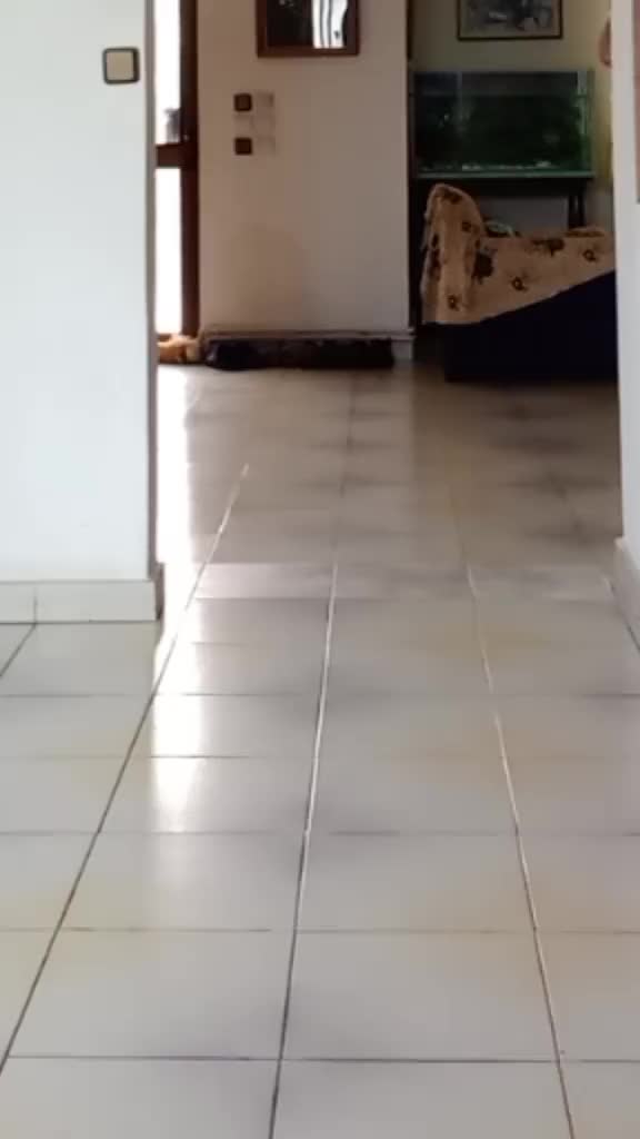 @Роса