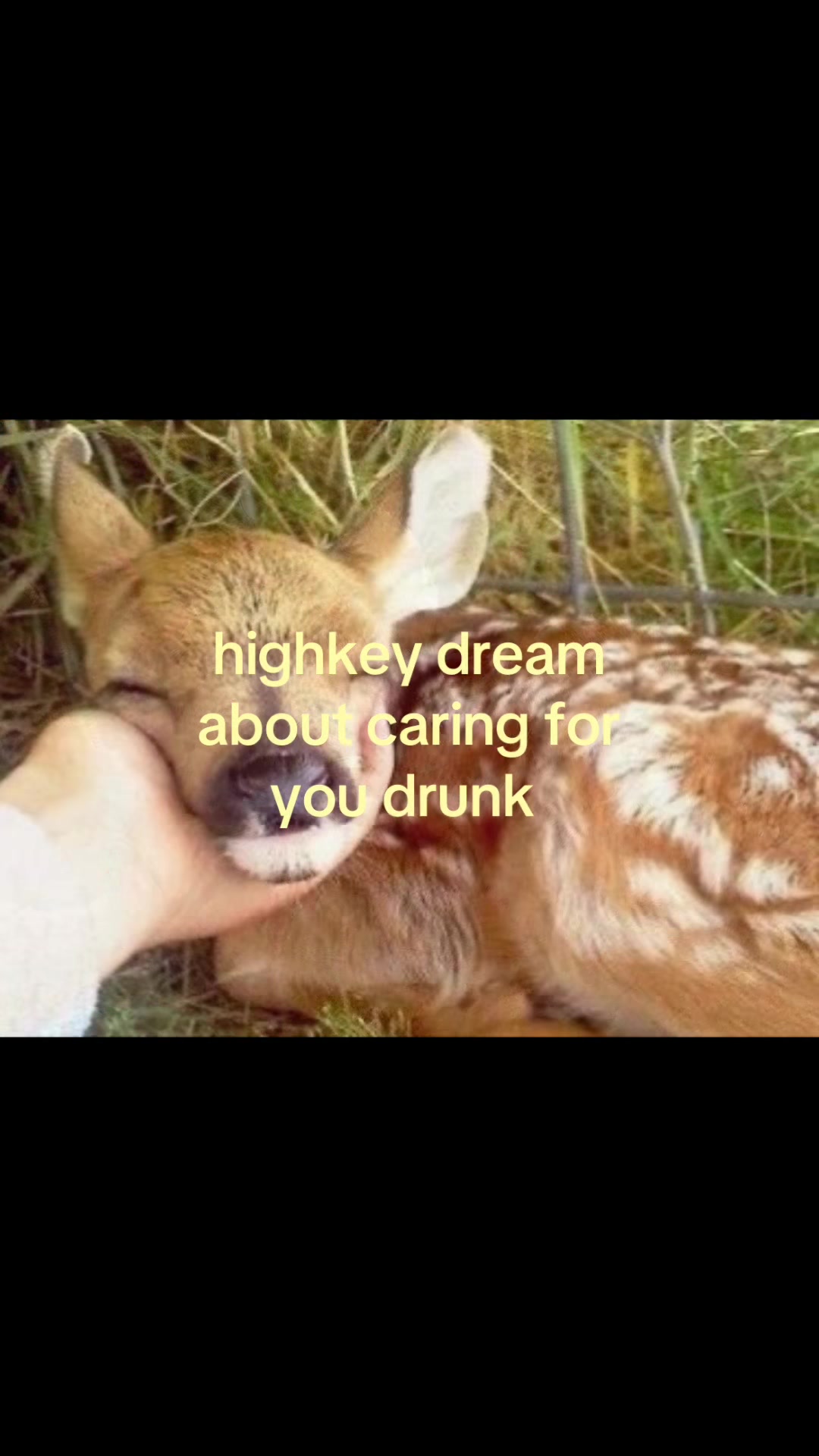@teal