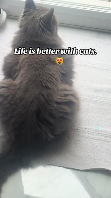 @lifeofuzali