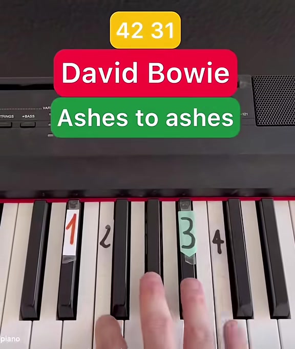 @DavidBowieGlamour Fan Account
