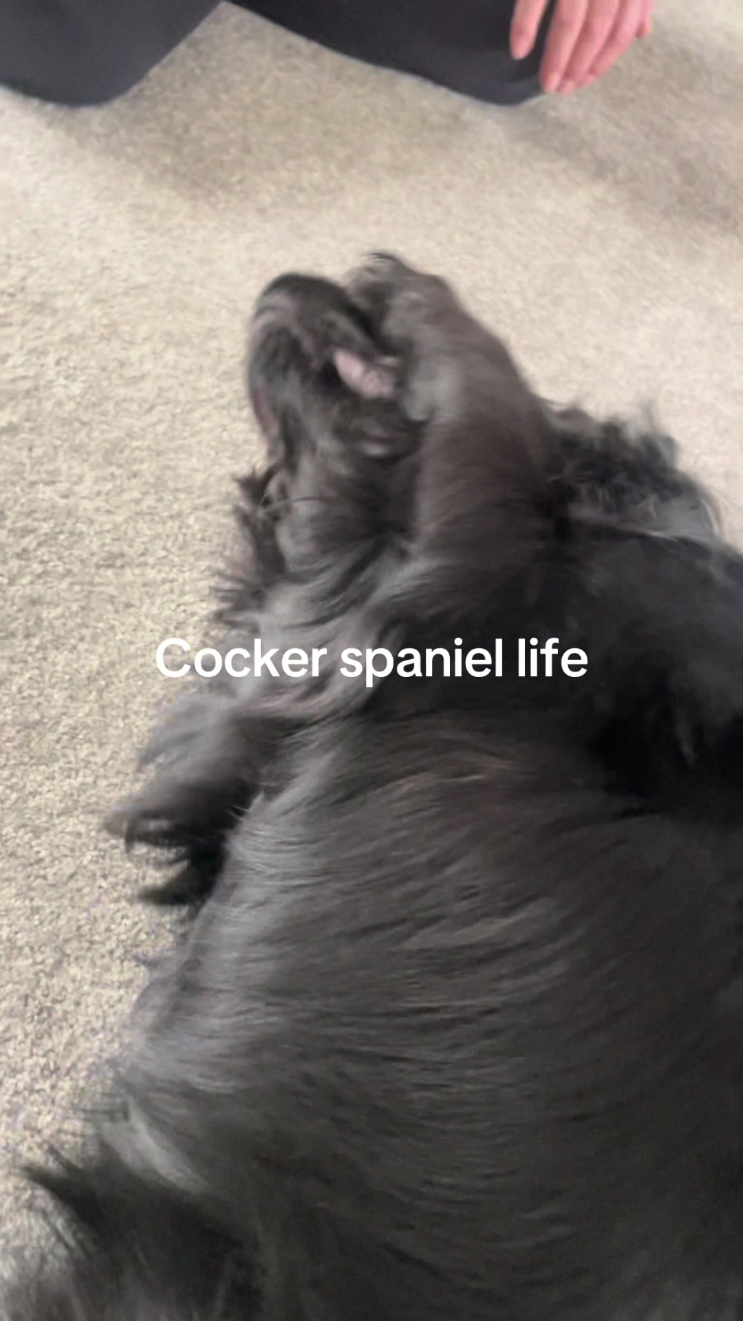 @Natalia