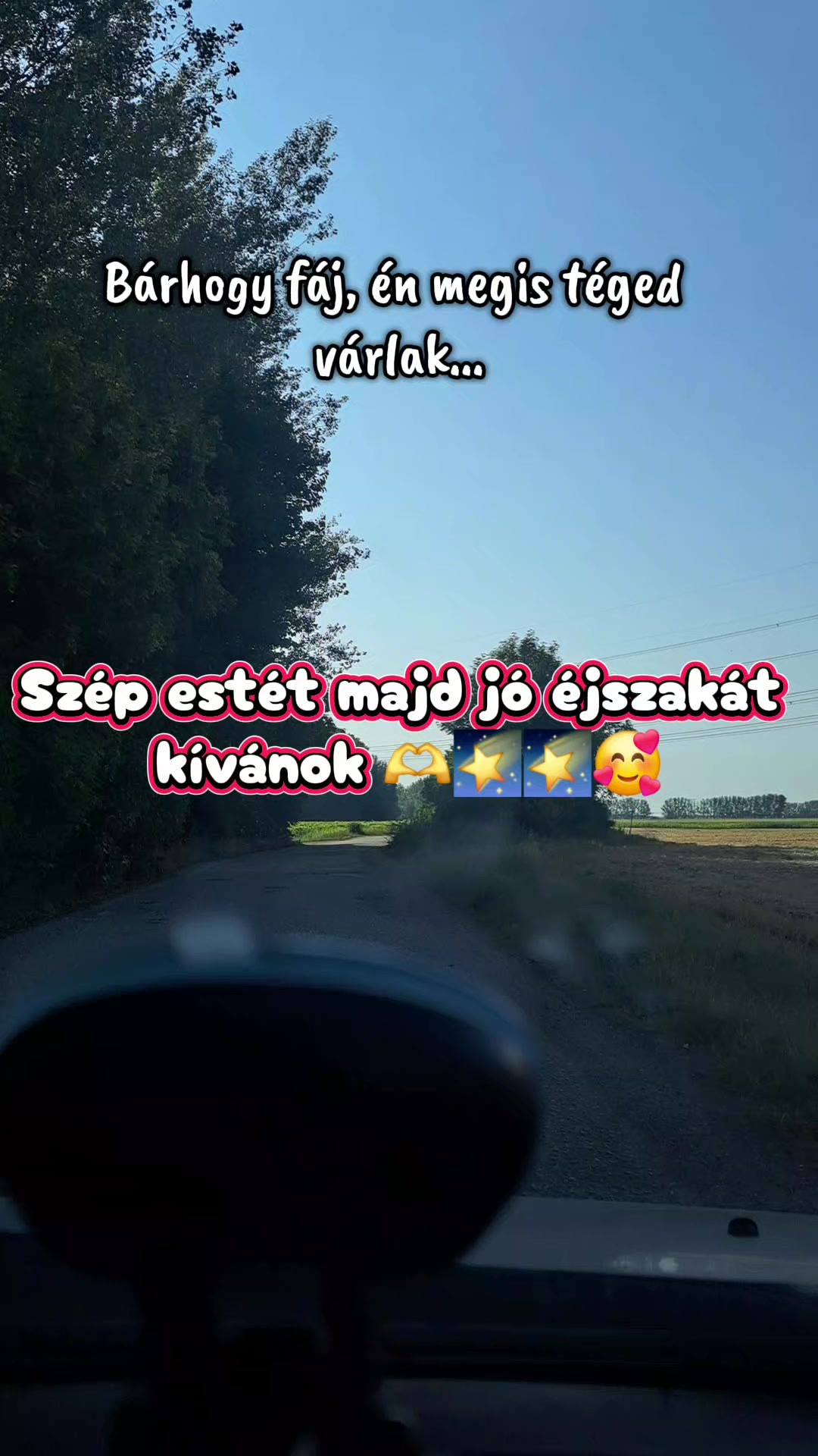 @👑Picis&aacute;rika👑